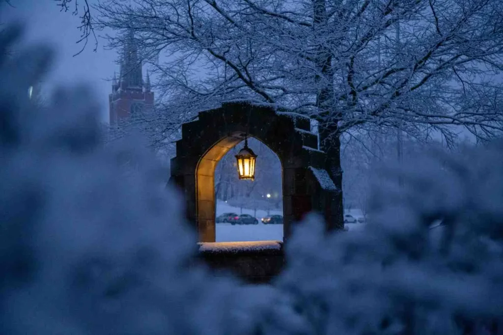 Winter's Fairytale Magic (December-February)
