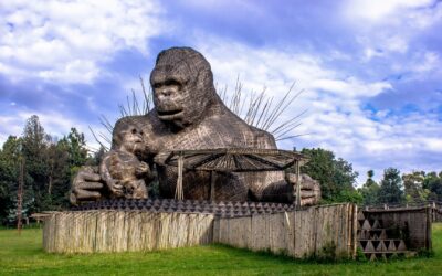 Rwanda Travel Guide